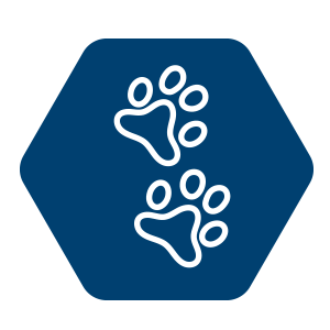 Defoort-Icon-blue-animal-nutrition Defoort-Icon-blue-animal-nutrition